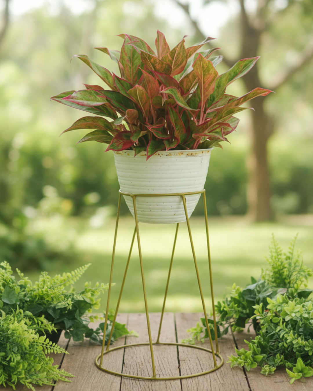 Rak Pot Standing lingkaran